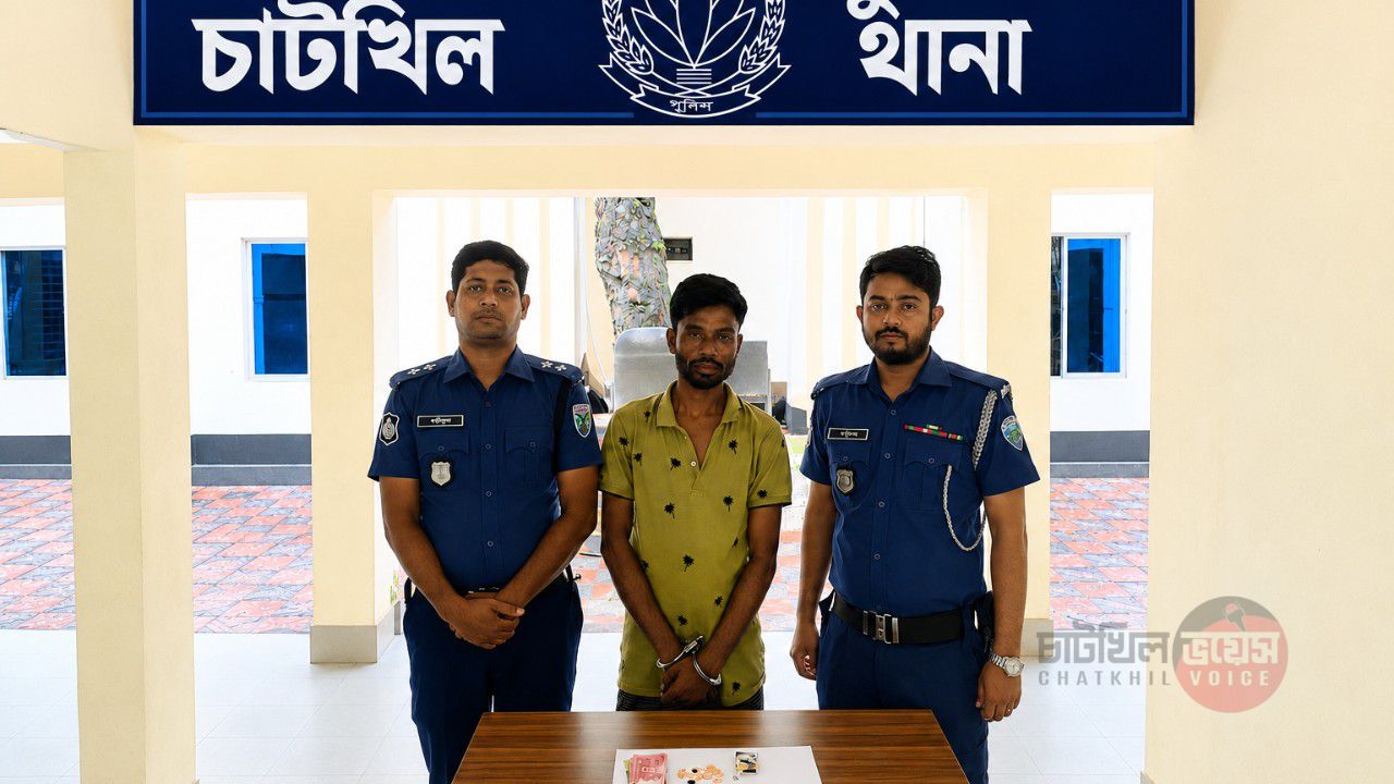 চাটখিলে পান সিগারেট দোকান থেকে ৫০ পিচ ইয়াবাসহ দোকানদার  গ্রেফতার 